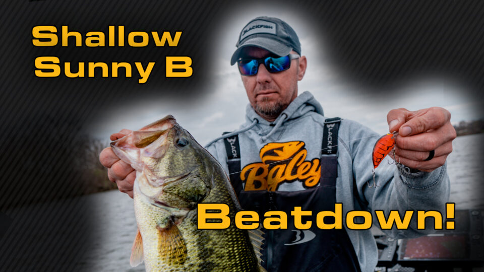 Spring Largemouth Bass Beatdown