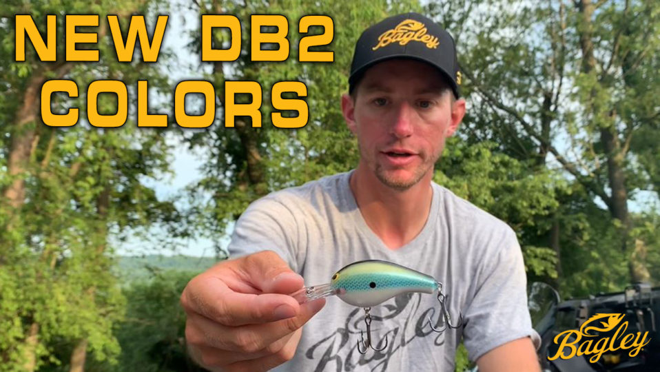 NEW! 2022 Diving Balsa B2 Colors with Matt Becker