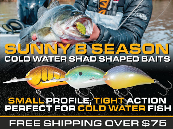 Bagley Baits Sunny B, cold-water bass fishing balsa crankbait, 50% off.