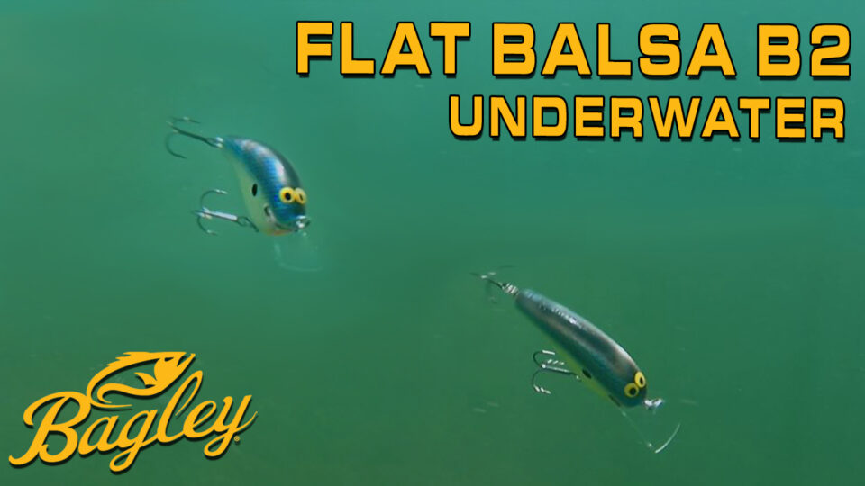 UNDERWATER ACTION – Flat Balsa B2