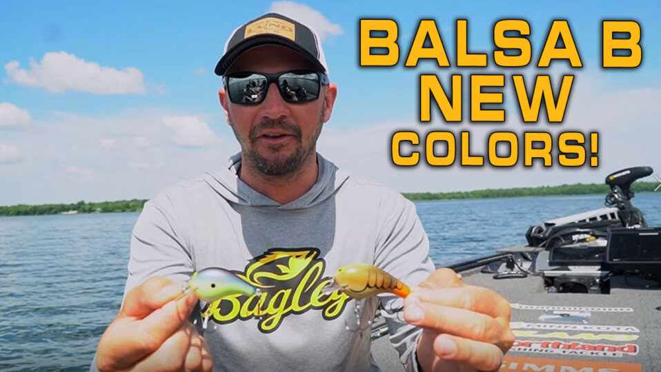 NEW! 2022 Balsa B Squarebill Colors with Jeff Gustafson