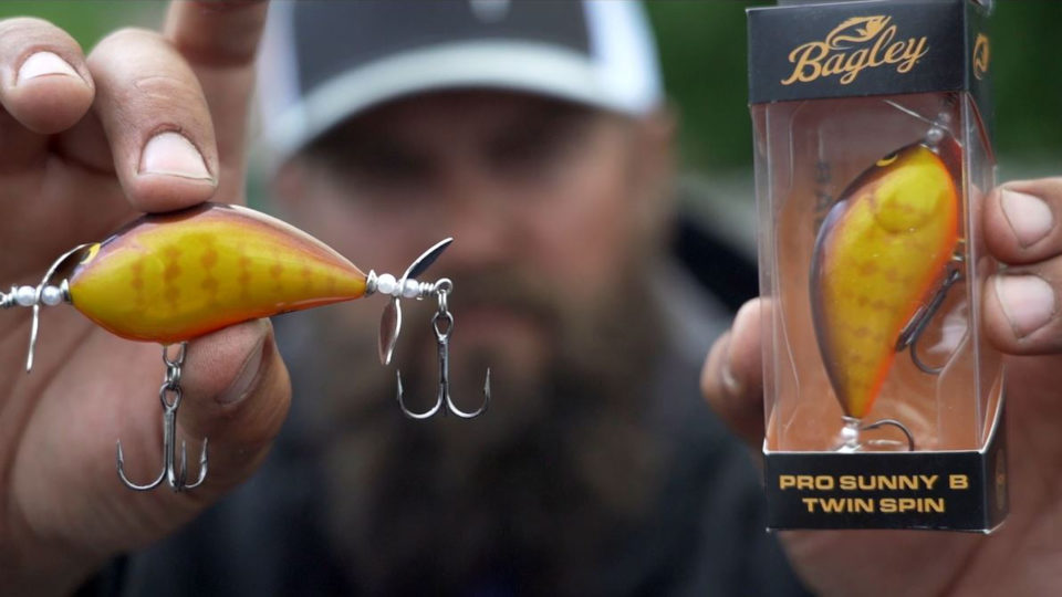Capitalizing on the Topwater Bite with Prop Baits