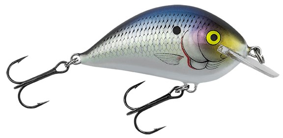 Bagley Bait Company Pro Sunny B in a shad color