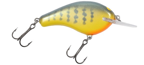 Flat Balsa B2 - Orange Belly Gill