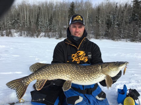 An ice fisherman holding up a northern pike he caught