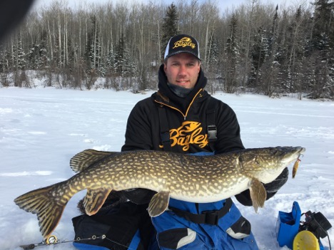 fisherman holds pike