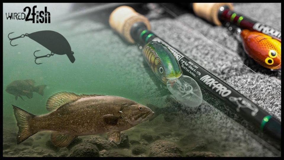 Gussy’s Shallow Diving Crankbait Strategy for Smallmouth Bass
